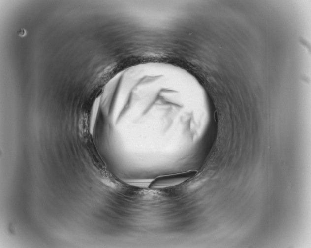 X0000094970528200712201225