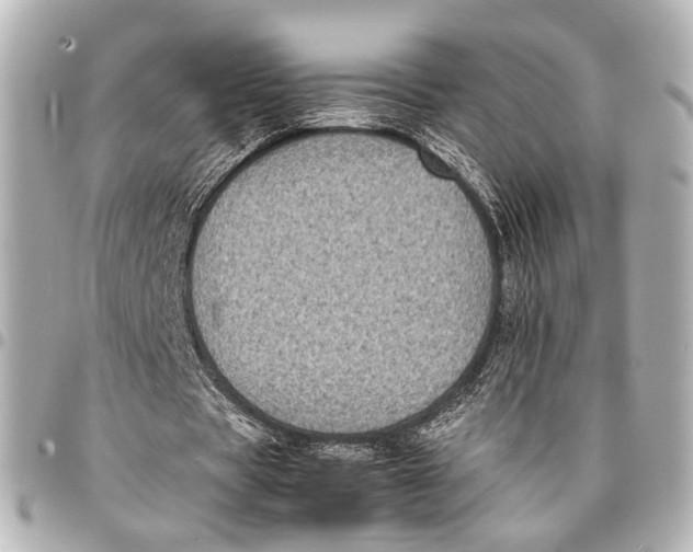 X0000094970529200712201224