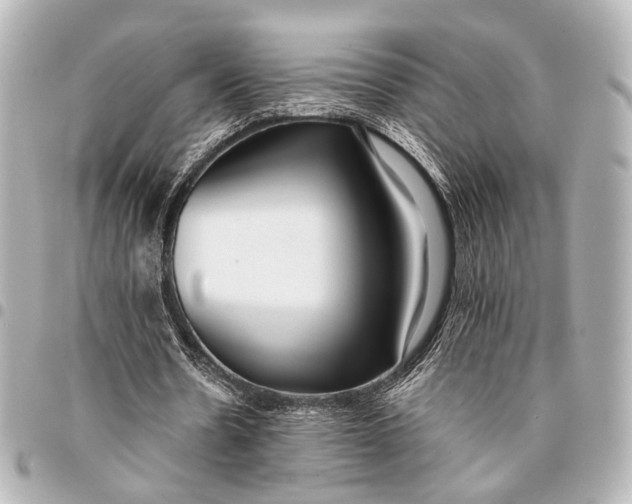 X0000094970530200712201224