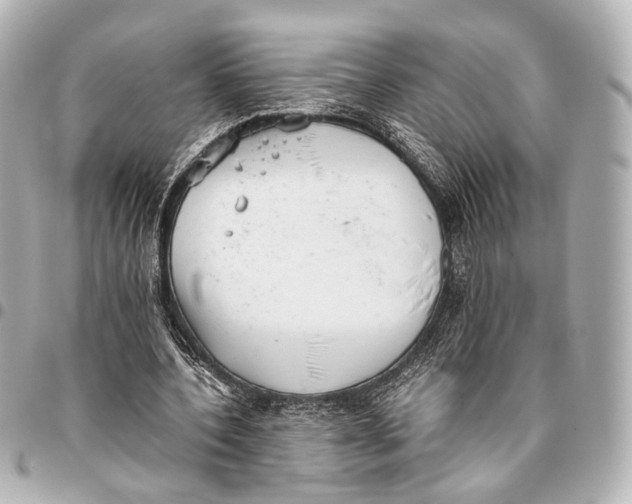 X0000094970532200712201224