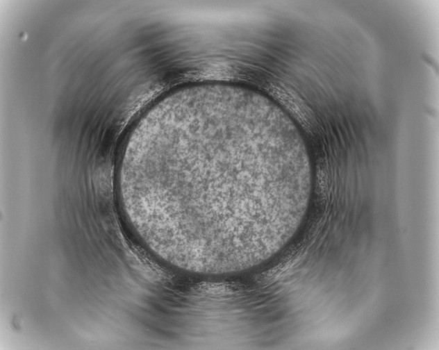 X0000094970534200712201224