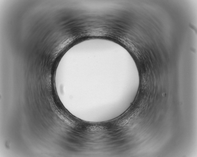 X0000094970535200712201224