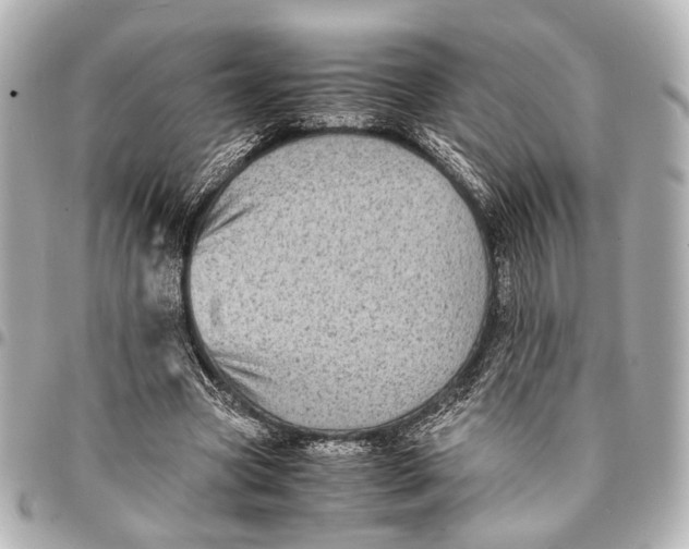 X0000094970537200712201224