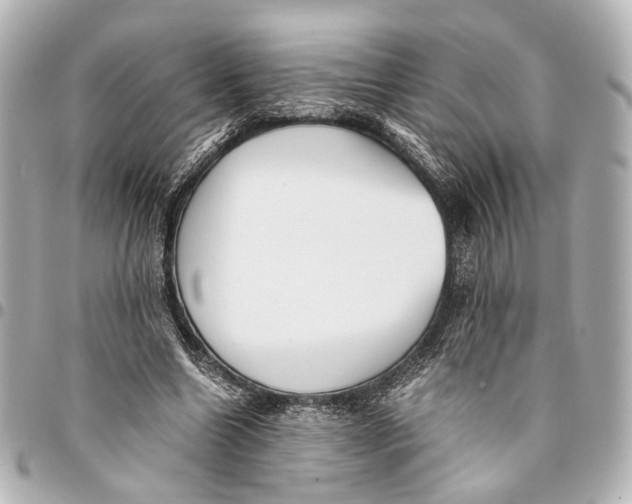 X0000094970538200712201224