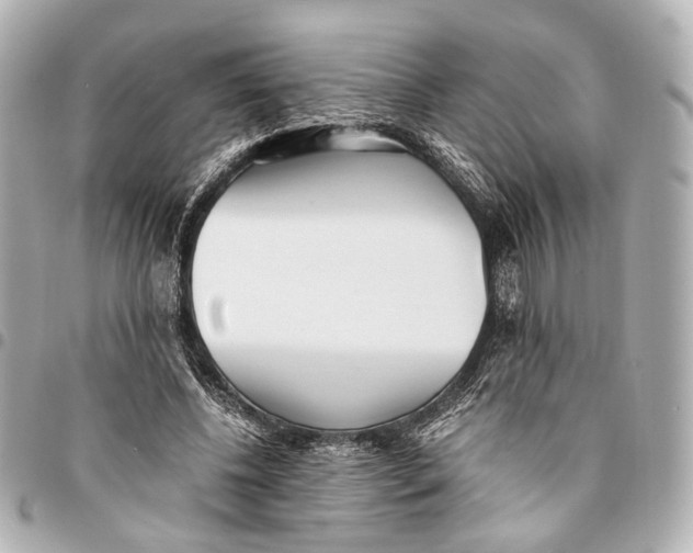 X0000094970540200712201224