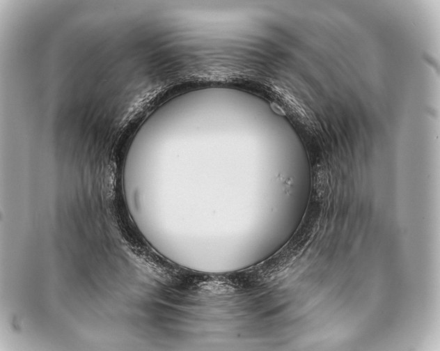 X0000094970544200712201224