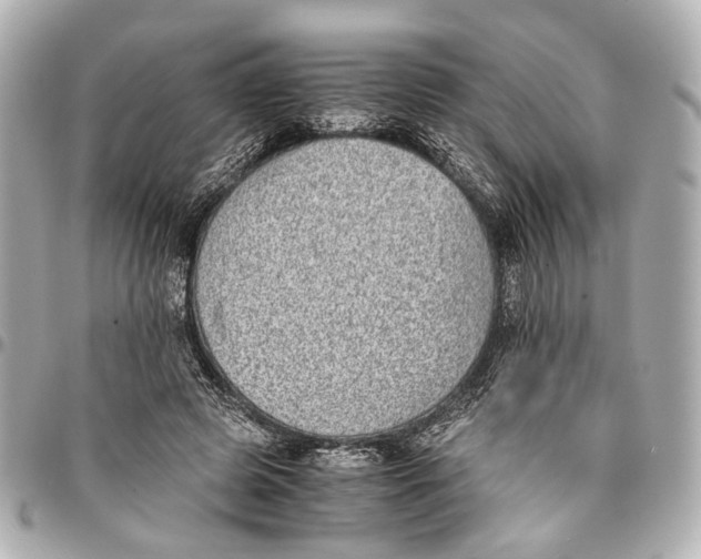 X0000094970545200712201224