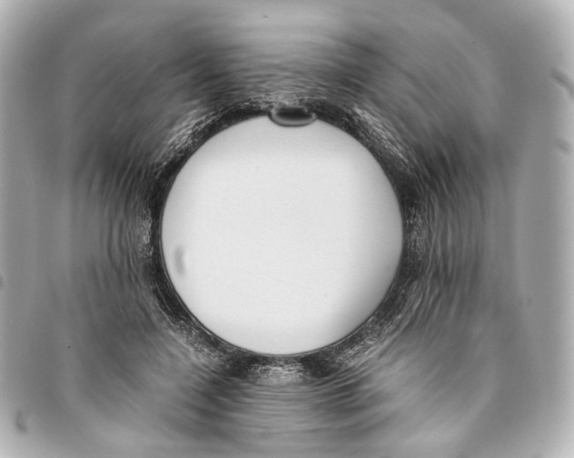 X0000094970548200712201225