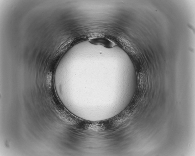 X0000094970550200712201225