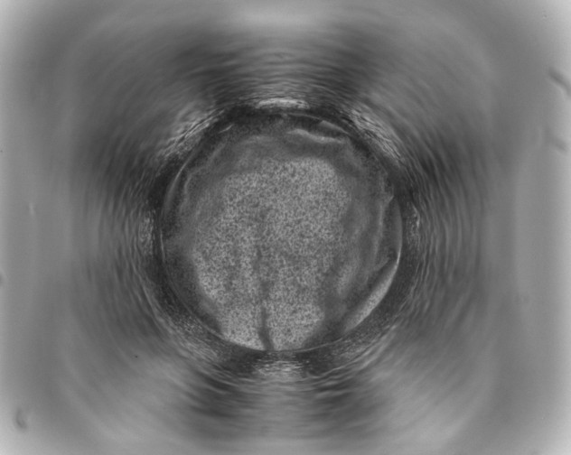 X0000094970551200712201225