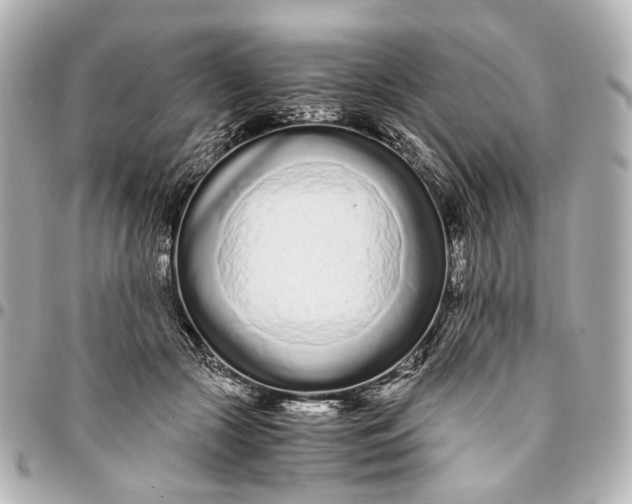 X0000094970553200712201225