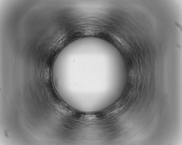 X0000094970554200712201225