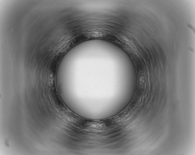 X0000094970555200712201225