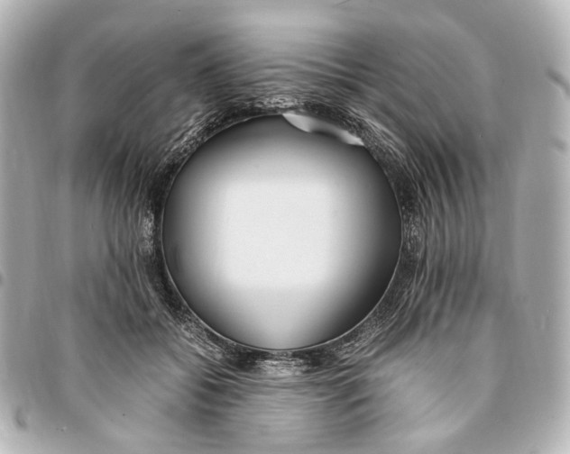 X0000094970556200712201225