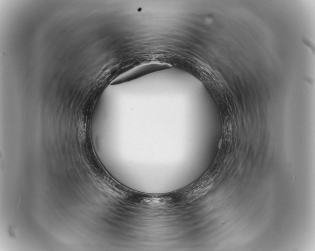 X0000094970558200712201225