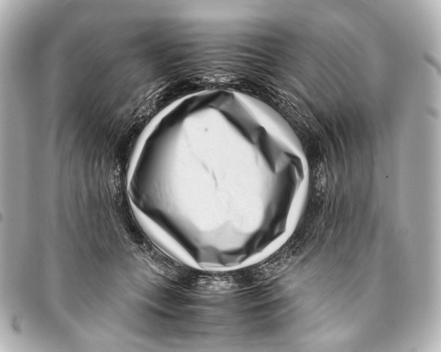 X0000094970559200712201225