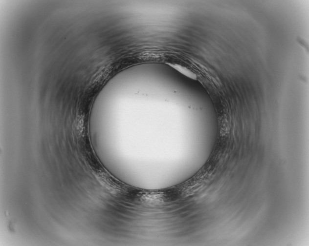 X0000094970560200712201225