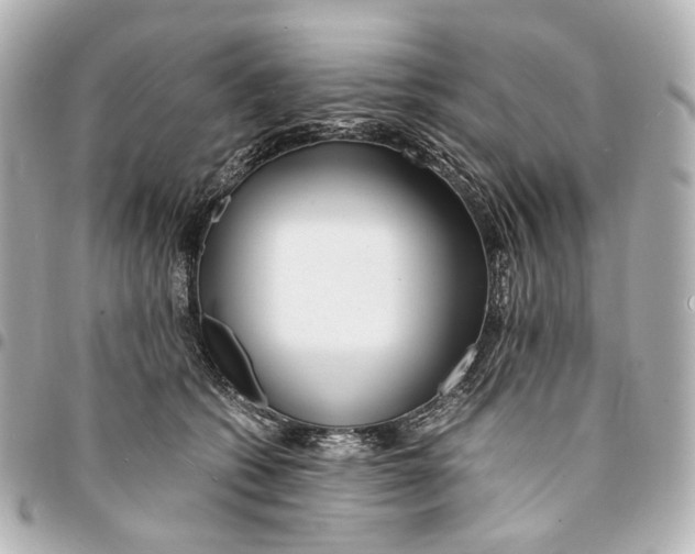 X0000094970562200712201225