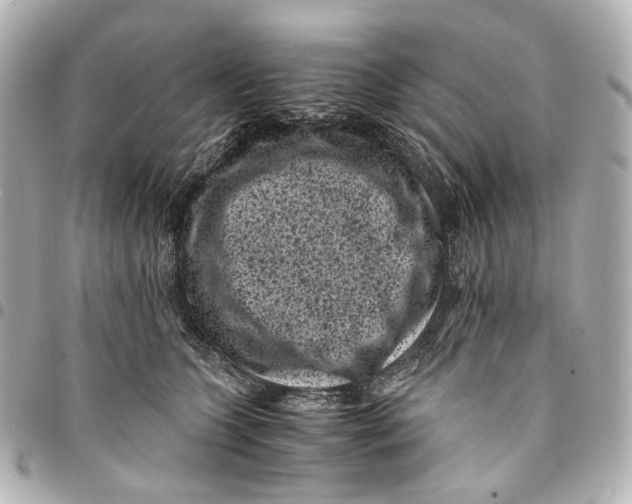 X0000094970563200712201225