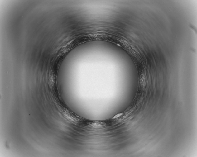 X0000094970566200712201225