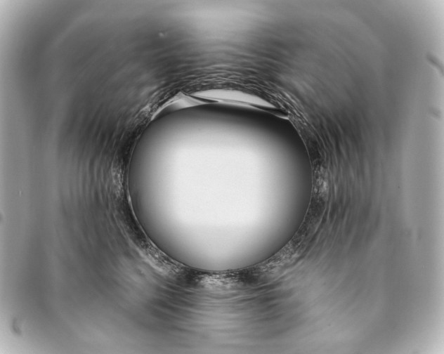 X0000094970568200712201225