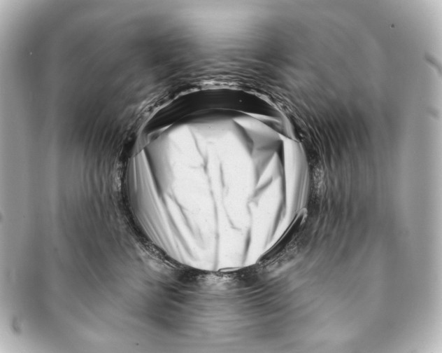 X0000094970570200712201225