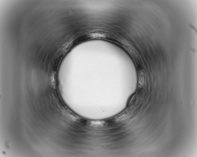 X0000094970573200712201225