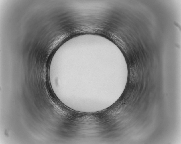 X0000094970578200712201224