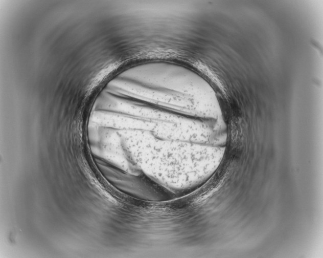 X0000094970581200712201224