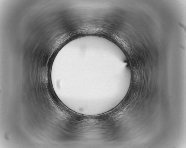 X0000094970582200712201224