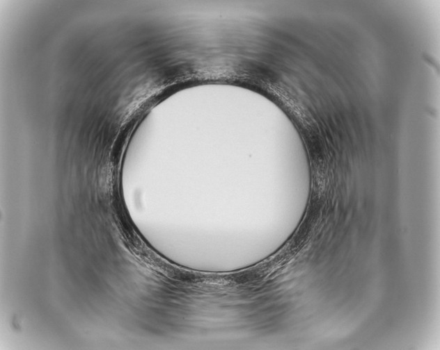 X0000094970583200712201224