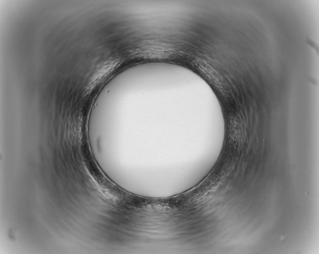 X0000094970586200712201224