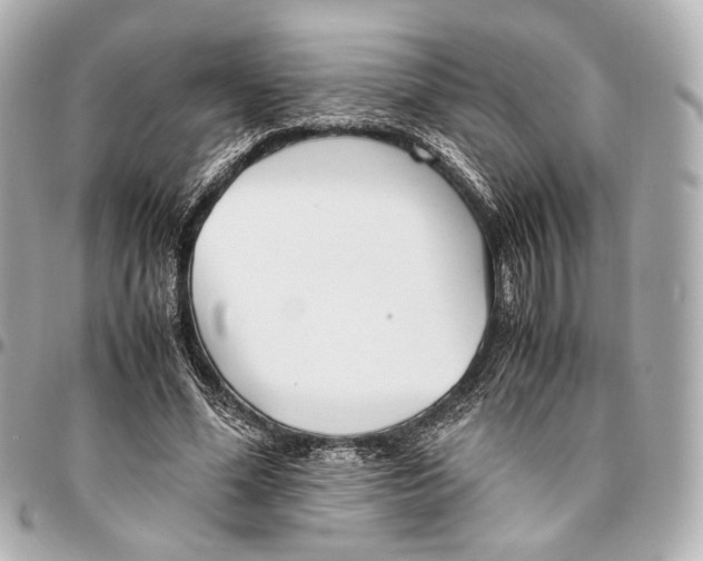 X0000094970588200712201224