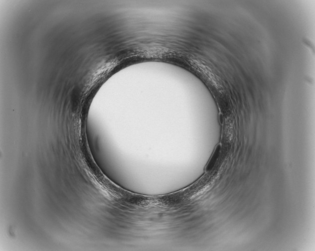 X0000094970589200712201224