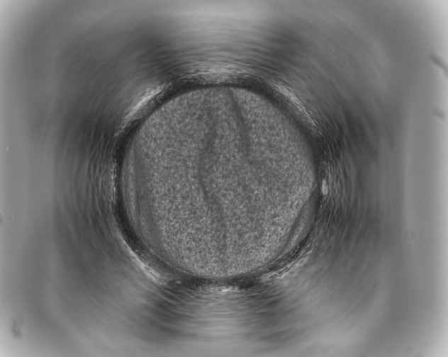 X0000094970590200712201224