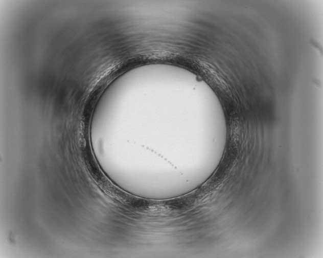 X0000094970591200712201224