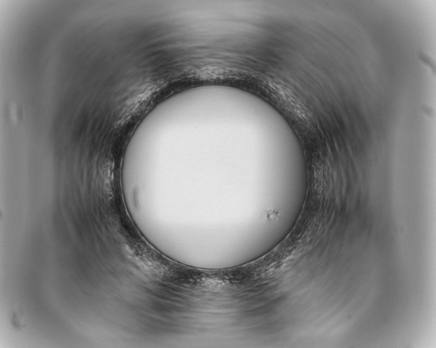 X0000094970592200712201224