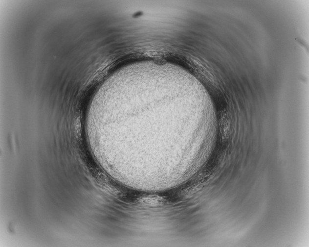 X0000094970595200712201224