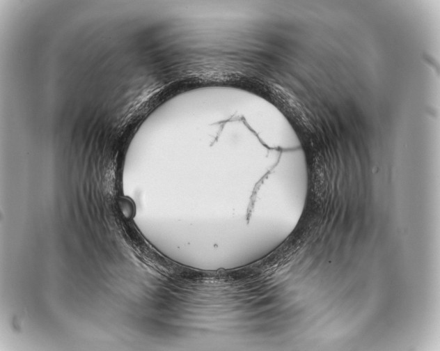 X0000094970596200712201224