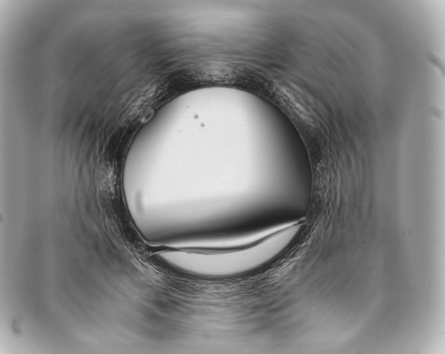 X0000094970597200712201224