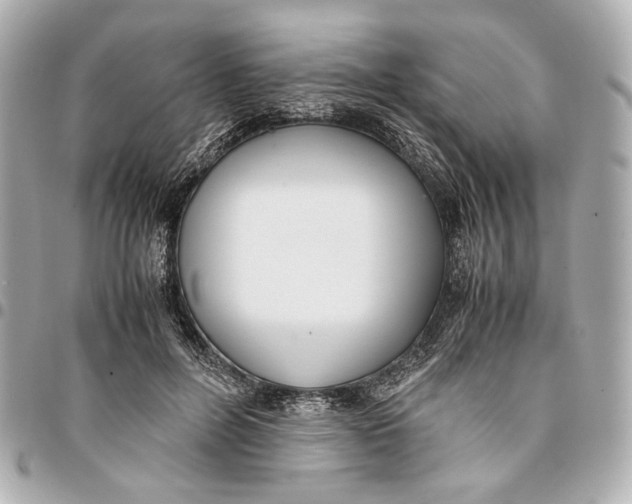 X0000094970600200712201224