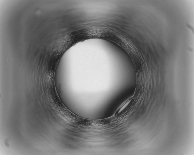 X0000094970601200712201224