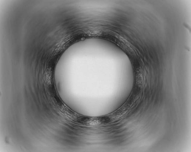 X0000094970604200712201224