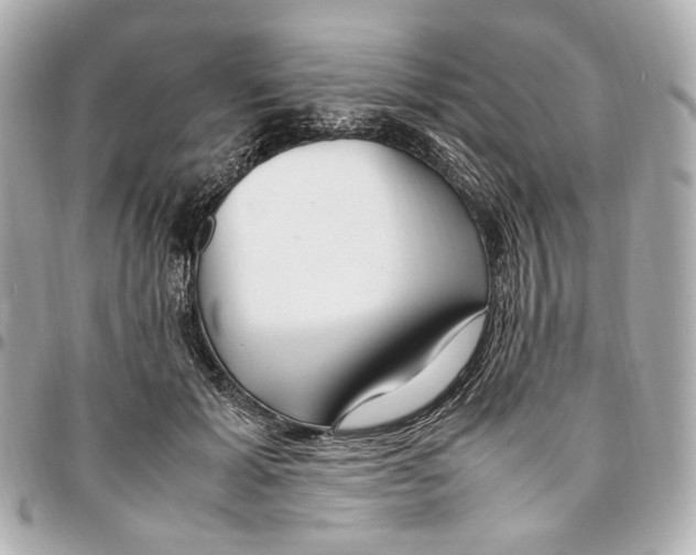 X0000094970605200712201224