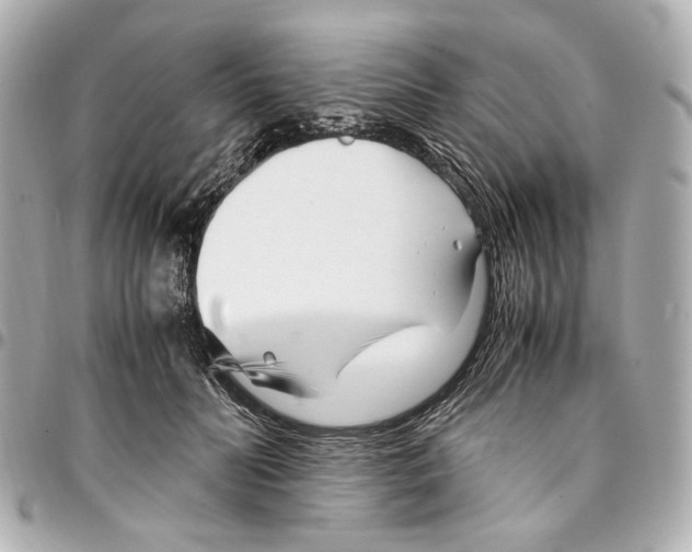 X0000094970606200712201224