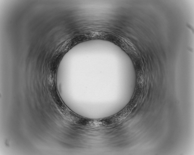 X0000094970607200712201224