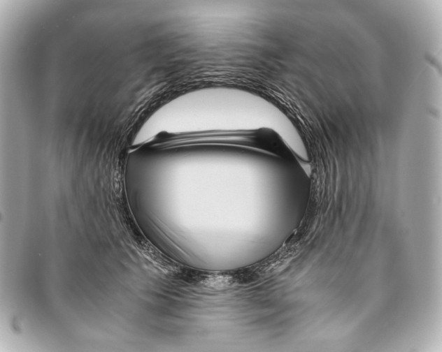 X0000094970609200712201224