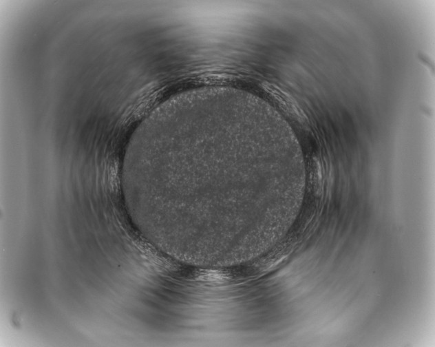 X0000094970610200712201224