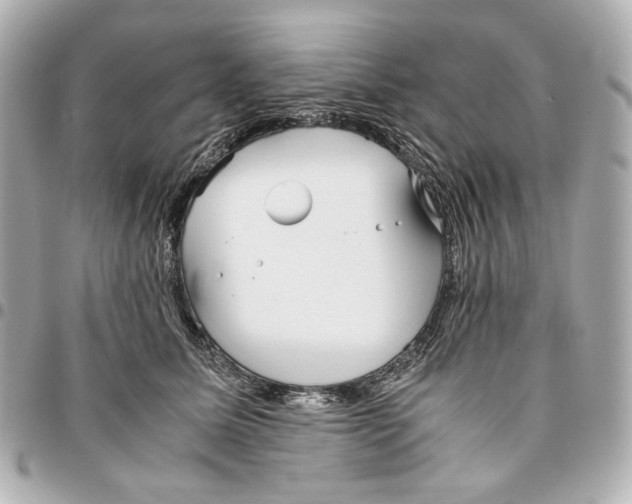 X0000094970611200712201224