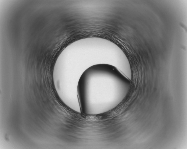 X0000094970613200712201224